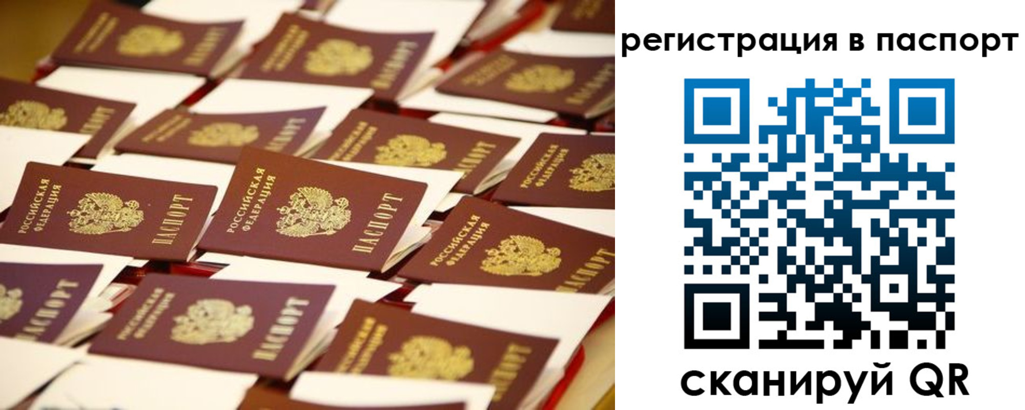 прописка гарантия в Сергиевом Посаде